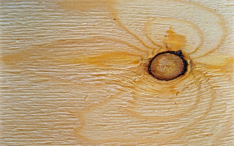Wood Defects 101
